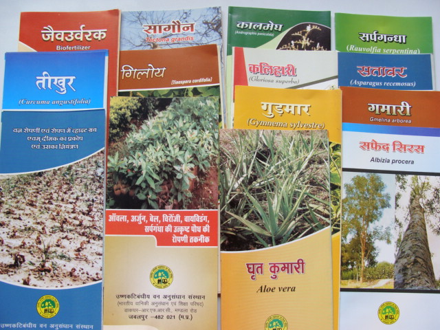 Brochures in Hindi