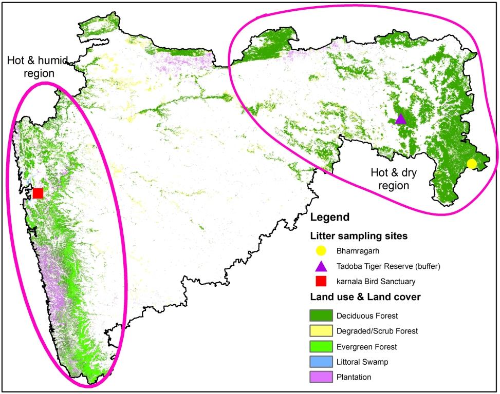दो क्षेत्रों (गर्म और आर्द्र; और गर्म और शुष्क) में लिटर नमूनाकरण साइटें