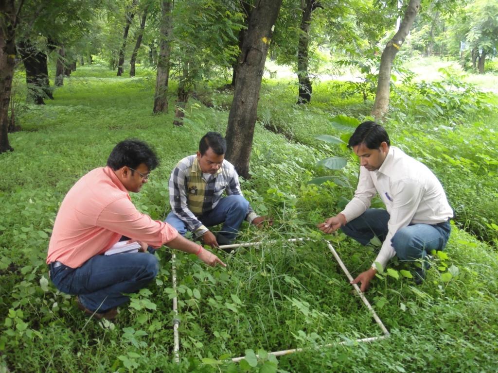 प्राकृतिक वनों में शाकाहारी डेटा का संग्रह