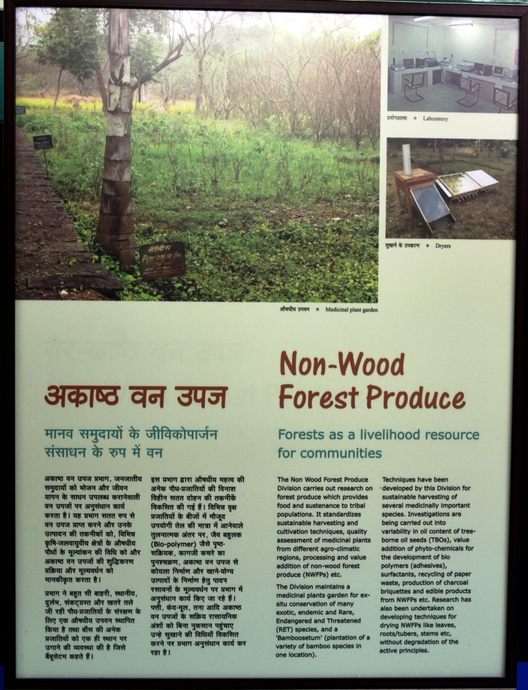 Non Wood Forest Produce