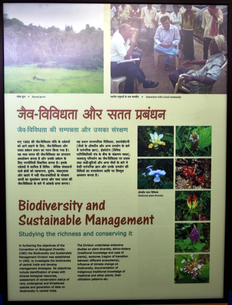 Biodiversity and Sustainable Management