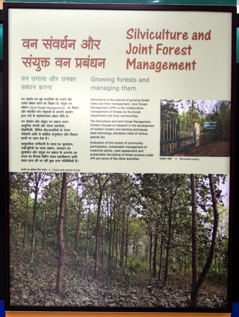 Silviculture and Joint Forest Management
