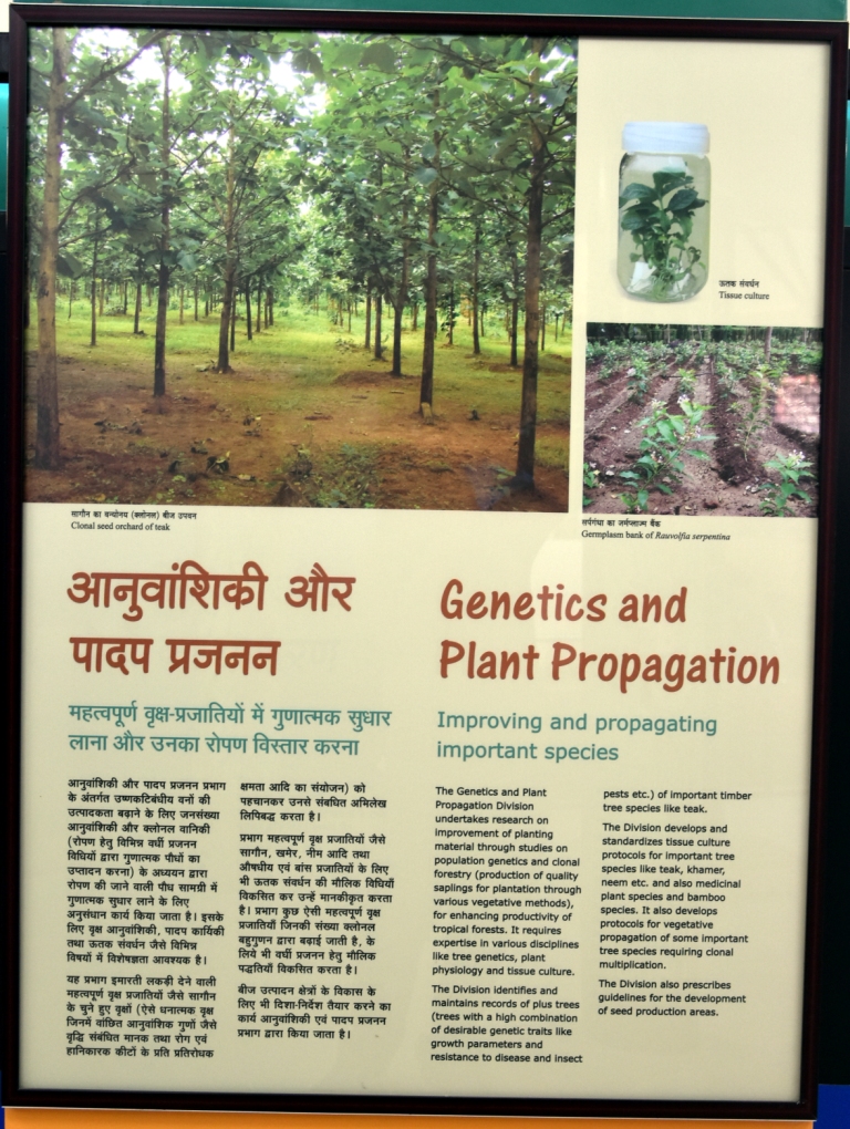 Genetics and Plant Propagation
